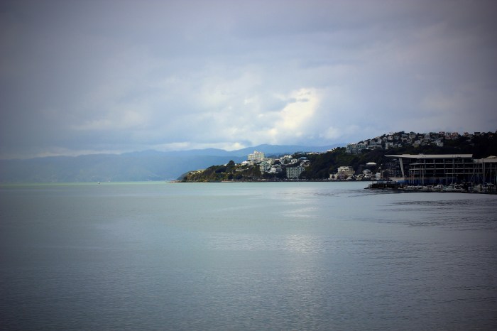 Wellington 003