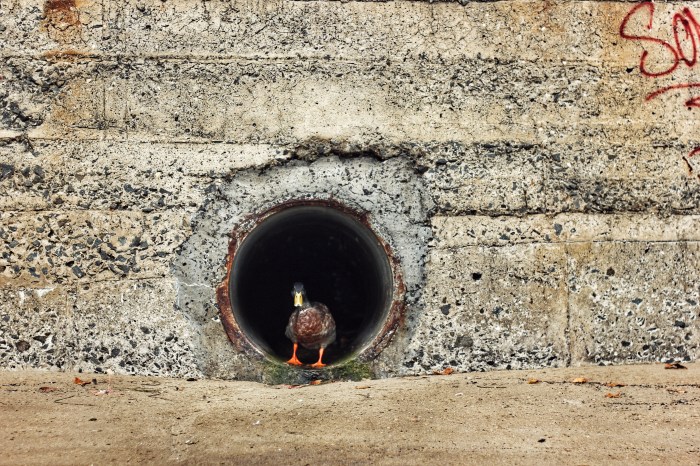 HOBART FEB:APR:SEP 019