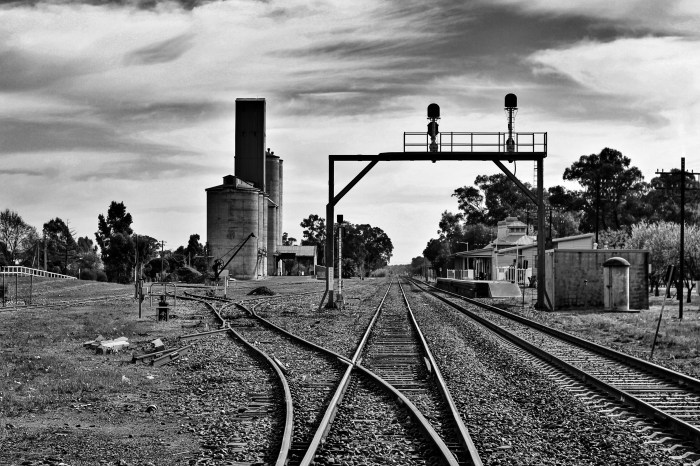 Processed with Snapseed.