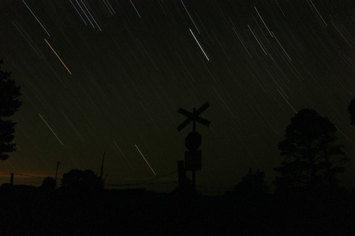 CanberraDec18 00031.jpg